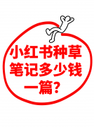 2.书代运营针对小红书平台特征